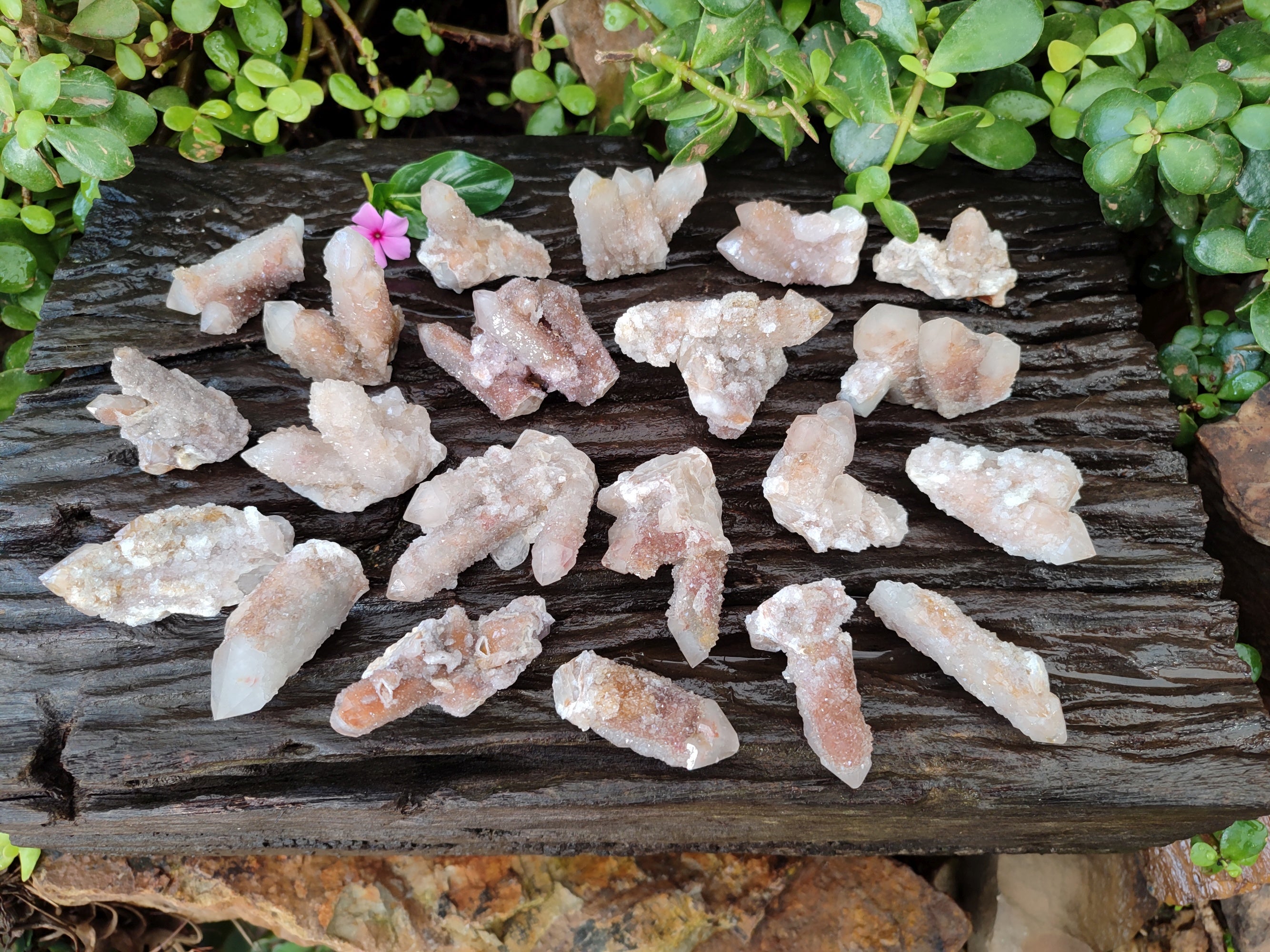 Natural Golden Limonite Spirit Quartz Clusters x 35 From Boekenhouthoek, South Africa - Toprock Gemstones and Minerals 
