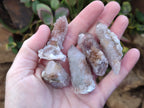 Natural Golden Limonite Spirit Quartz Clusters x 35 From Boekenhouthoek, South Africa - Toprock Gemstones and Minerals 