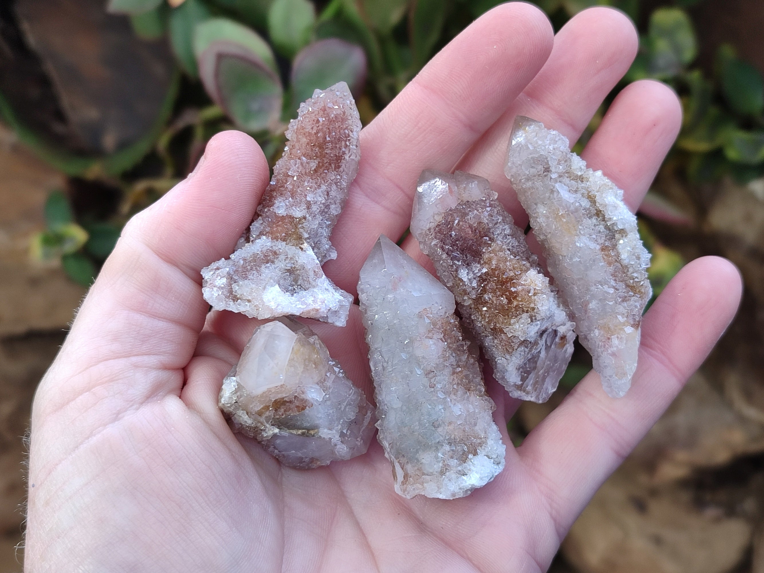 Natural Golden Limonite Spirit Quartz Clusters x 35 From Boekenhouthoek, South Africa - Toprock Gemstones and Minerals 