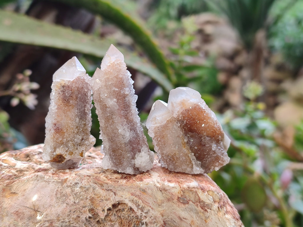 Natural Golden Limonite Spirit Quartz Clusters x 35 From Boekenhouthoek, South Africa - Toprock Gemstones and Minerals 