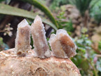 Natural Golden Limonite Spirit Quartz Clusters x 35 From Boekenhouthoek, South Africa - Toprock Gemstones and Minerals 
