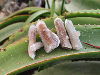 Natural Golden Limonite Spirit Quartz Clusters x 35 From Boekenhouthoek, South Africa - Toprock Gemstones and Minerals 