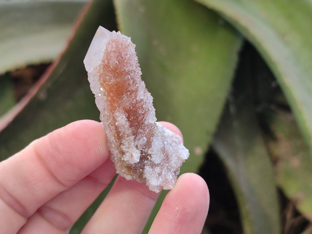 Natural Golden Limonite Spirit Quartz Clusters x 35 From Boekenhouthoek, South Africa - Toprock Gemstones and Minerals 