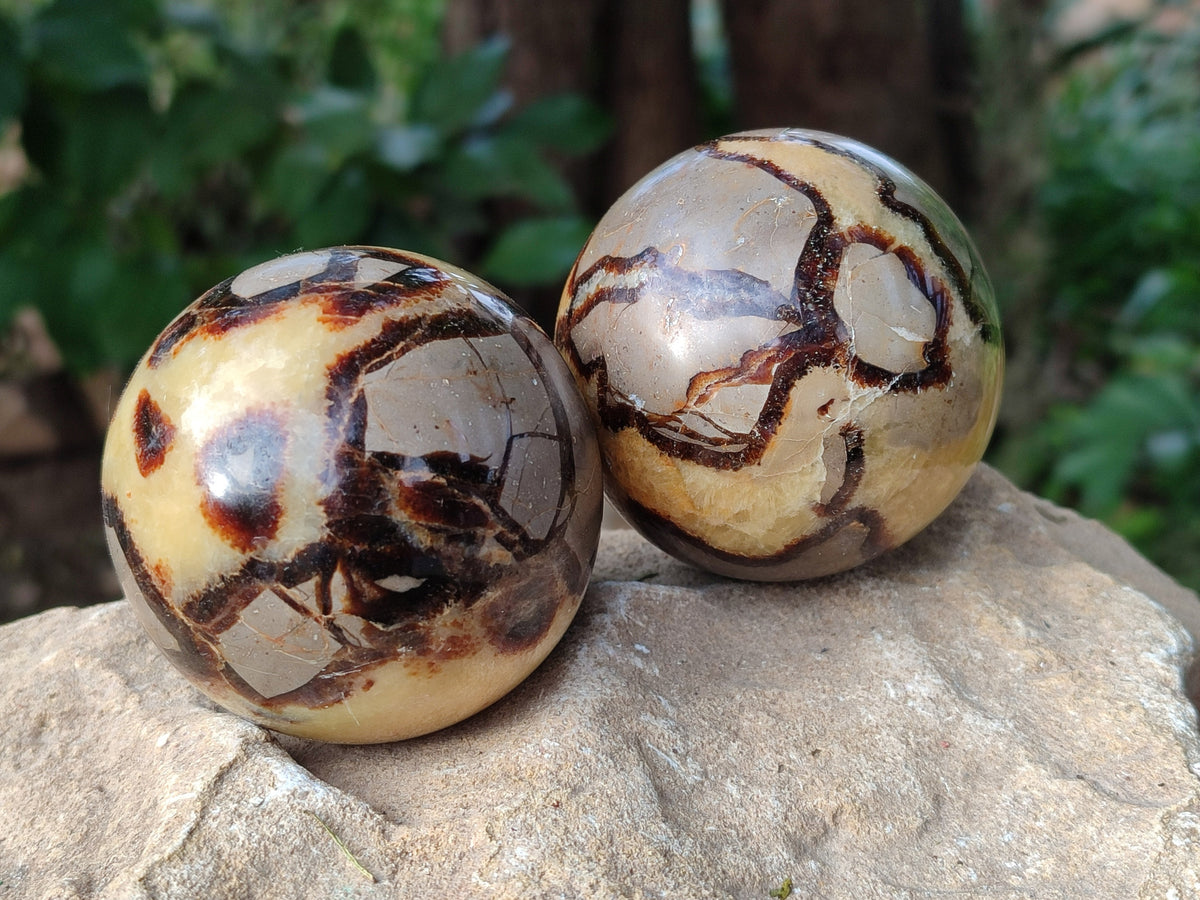 Polished Fossilized Septerye Spheres x 4 From Mahajanga, Madagascar - Toprock Gemstones and Minerals 