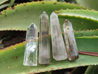Polished Mixed Quartz and Smokey Quartz with Chlorite "Moss" Inclusions x 12 from Madagascar - Toprock Gemstones and Minerals 