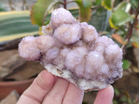 Natural Amethyst Spirit Quartz Clusters x 6 From Boekenhouthoek, South Africa - Toprock Gemstones and Minerals 