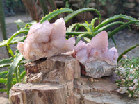 Natural Amethyst Spirit Quartz Clusters x 6 From Boekenhouthoek, South Africa - Toprock Gemstones and Minerals 