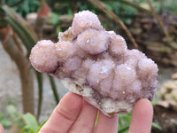 Natural Amethyst Spirit Quartz Clusters x 6 From Boekenhouthoek, South Africa - Toprock Gemstones and Minerals 