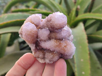 Natural Amethyst Spirit Quartz Clusters x 6 From Boekenhouthoek, South Africa - Toprock Gemstones and Minerals 
