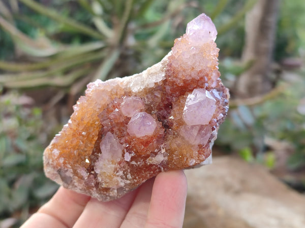 Natural Amethyst Spirit Quartz Clusters x 6 From Boekenhouthoek, South Africa - Toprock Gemstones and Minerals 