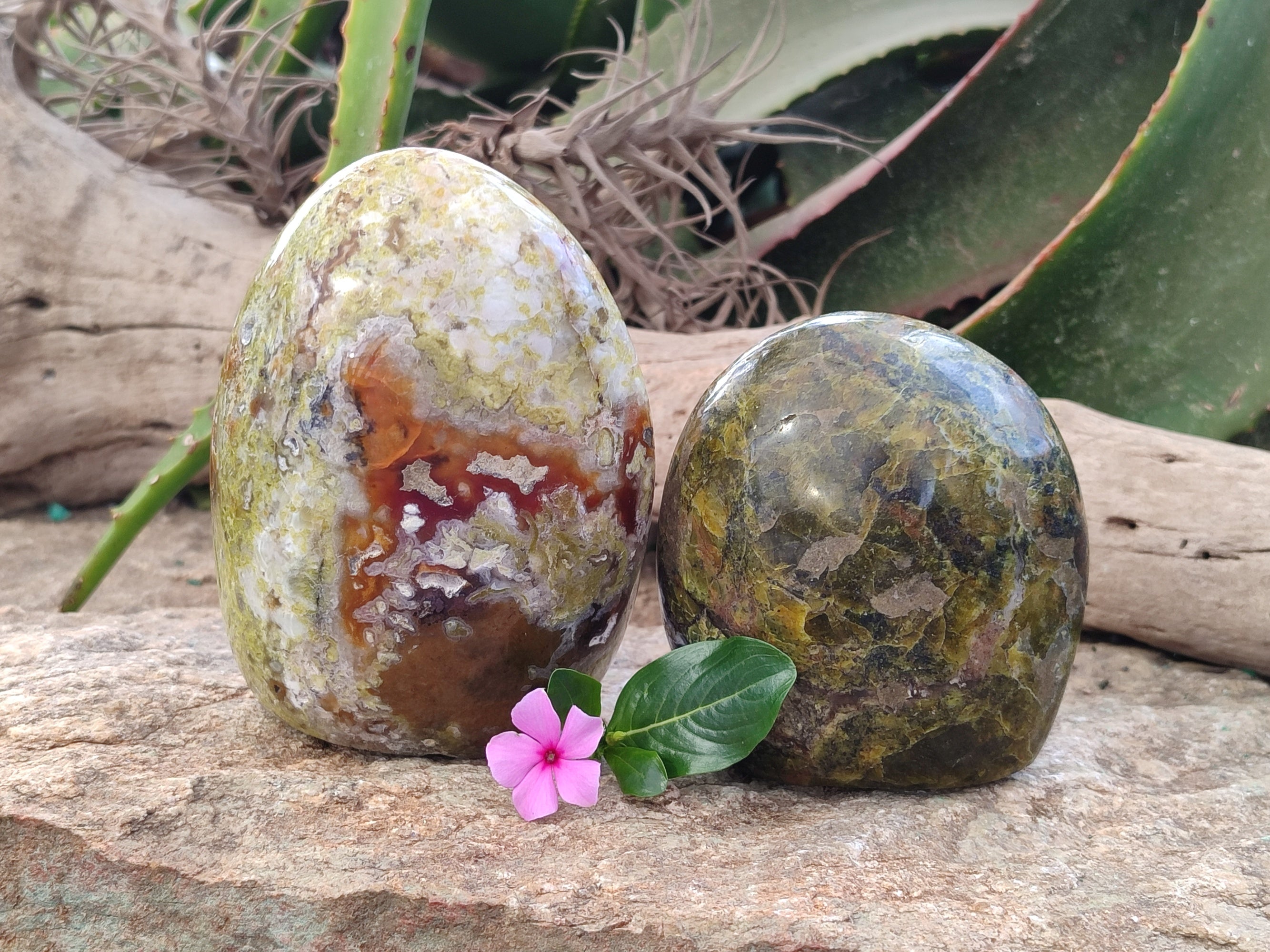 Polished Green Opal Standing Free Forms x 2 From Betroka, Madagascar - Toprock Gemstones and Minerals 