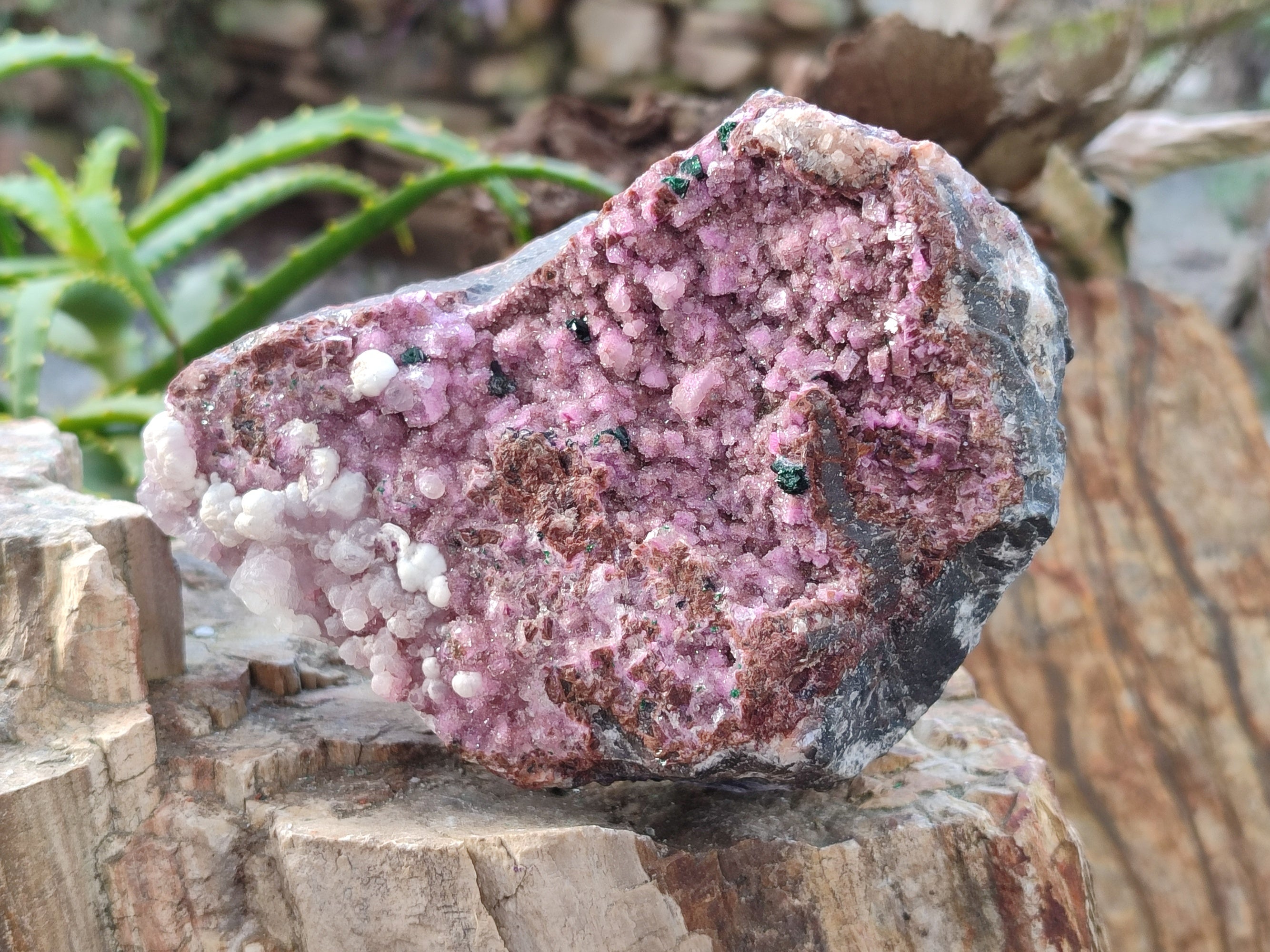 Natural Drusy Salrose with Chrysocolla, Malachite and Kaolinite Specimens x 4 From Kakanda, Congo - Toprock Gemstones and Minerals 