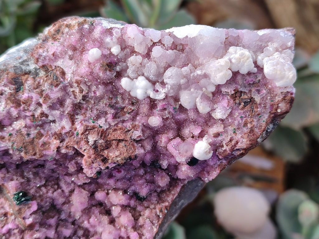 Natural Drusy Salrose with Chrysocolla, Malachite and Kaolinite Specimens x 4 From Kakanda, Congo - Toprock Gemstones and Minerals 