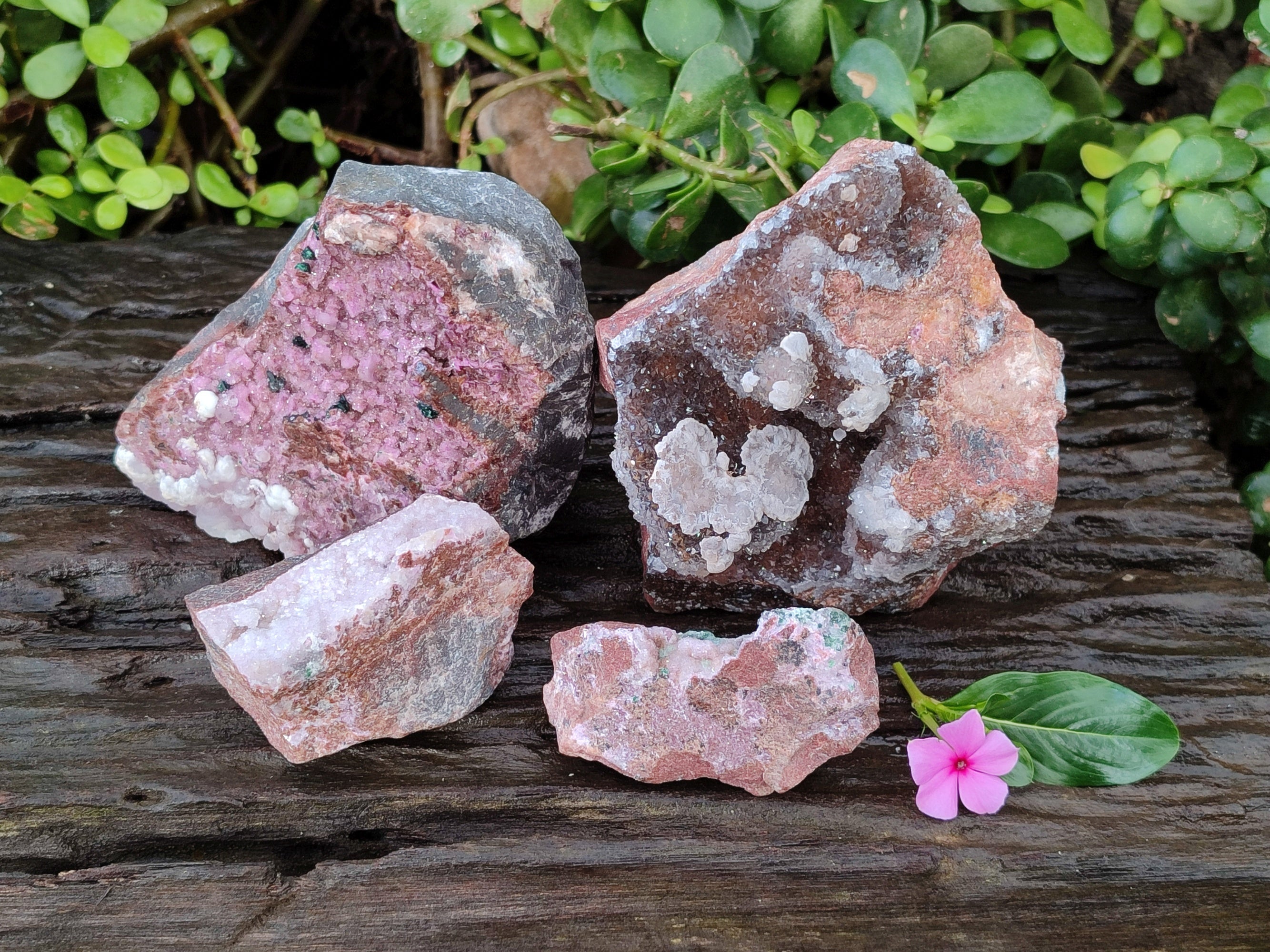 Natural Drusy Salrose with Chrysocolla, Malachite and Kaolinite Specimens x 4 From Kakanda, Congo - Toprock Gemstones and Minerals 