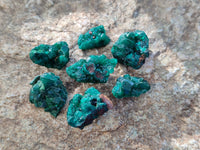 Natural Mini Dioptase On Dolomite Specimens x 35 From Likasi, Congo - Toprock Gemstones and Minerals 