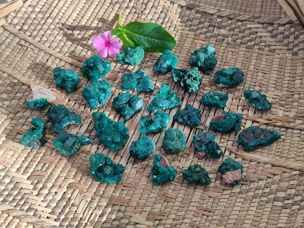 Natural Mini Dioptase On Dolomite Specimens x 35 From Likasi, Congo - Toprock Gemstones and Minerals 