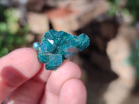 Natural Mini Dioptase On Dolomite Specimens x 35 From Likasi, Congo - Toprock Gemstones and Minerals 