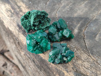 Natural Mini Dioptase On Dolomite Specimens x 35 From Likasi, Congo - Toprock Gemstones and Minerals 