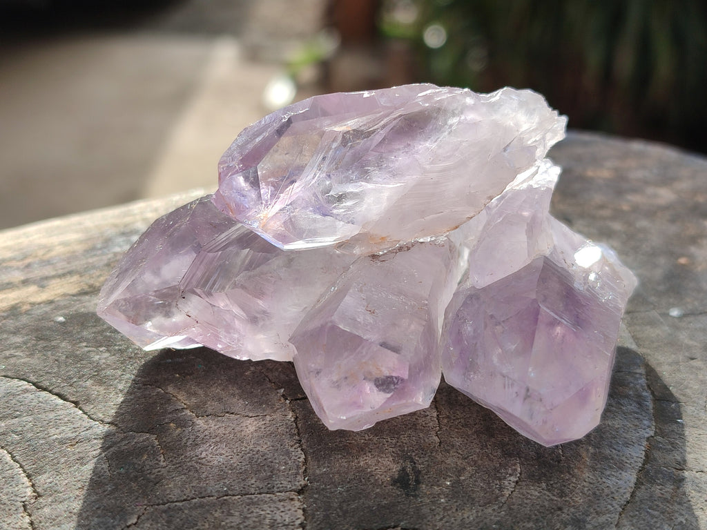 Natural Mixed Single Crystals x 2.06 Kg Lot From Southern Africa - Toprock Gemstones and Minerals 