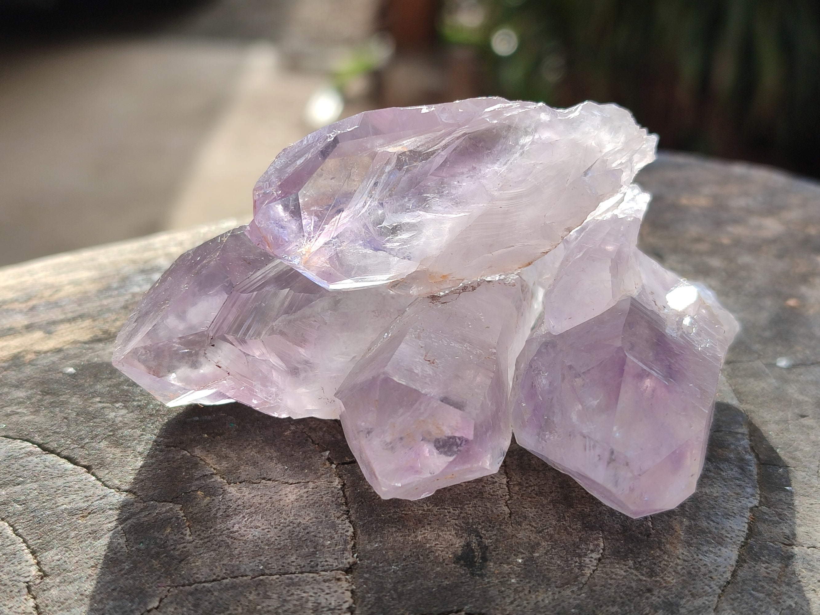 Natural Mixed Single Crystals x 2.06 Kg Lot From Southern Africa - Toprock Gemstones and Minerals 