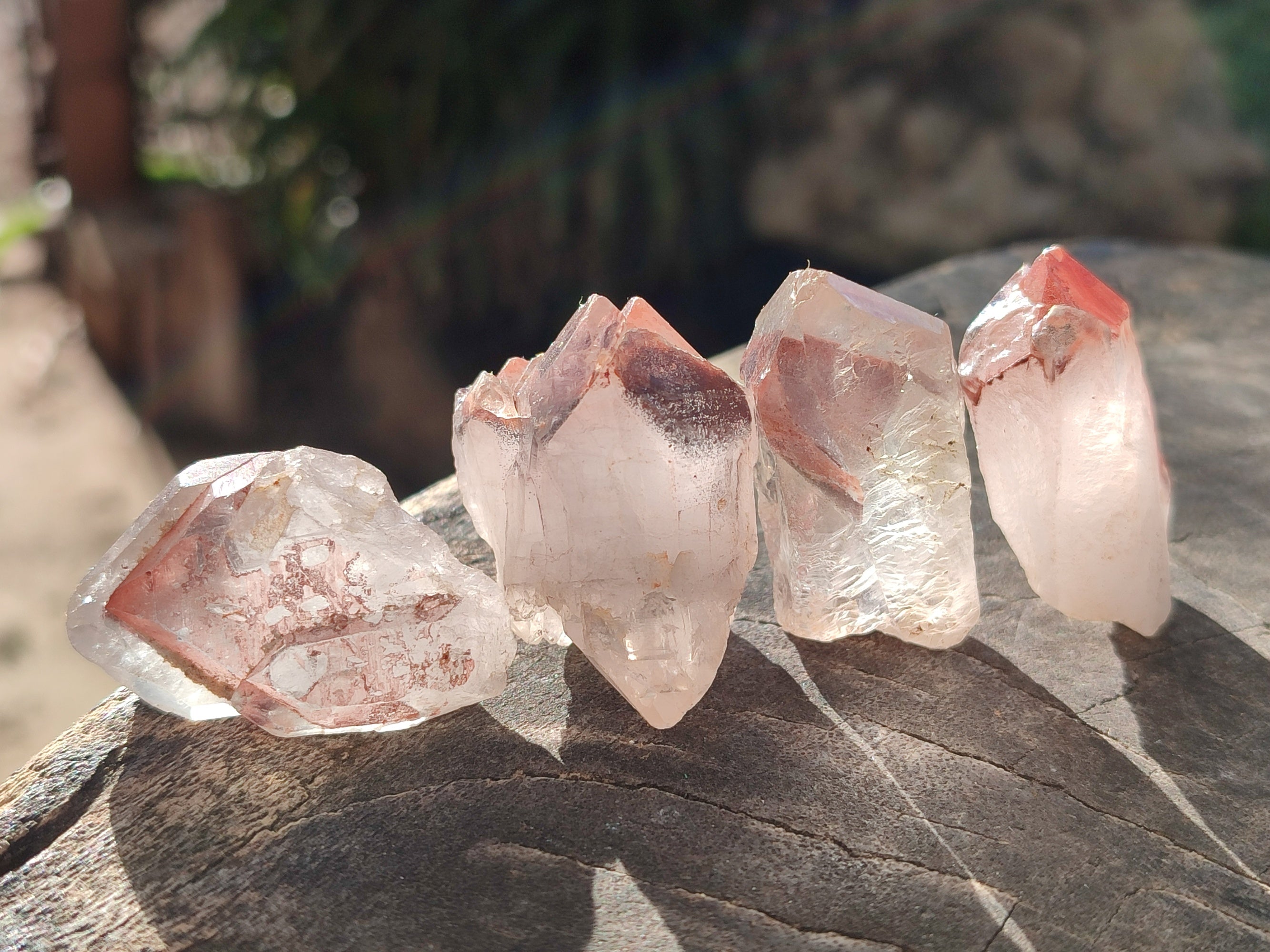 Natural Mixed Single Crystals x 2.06 Kg Lot From Southern Africa - Toprock Gemstones and Minerals 