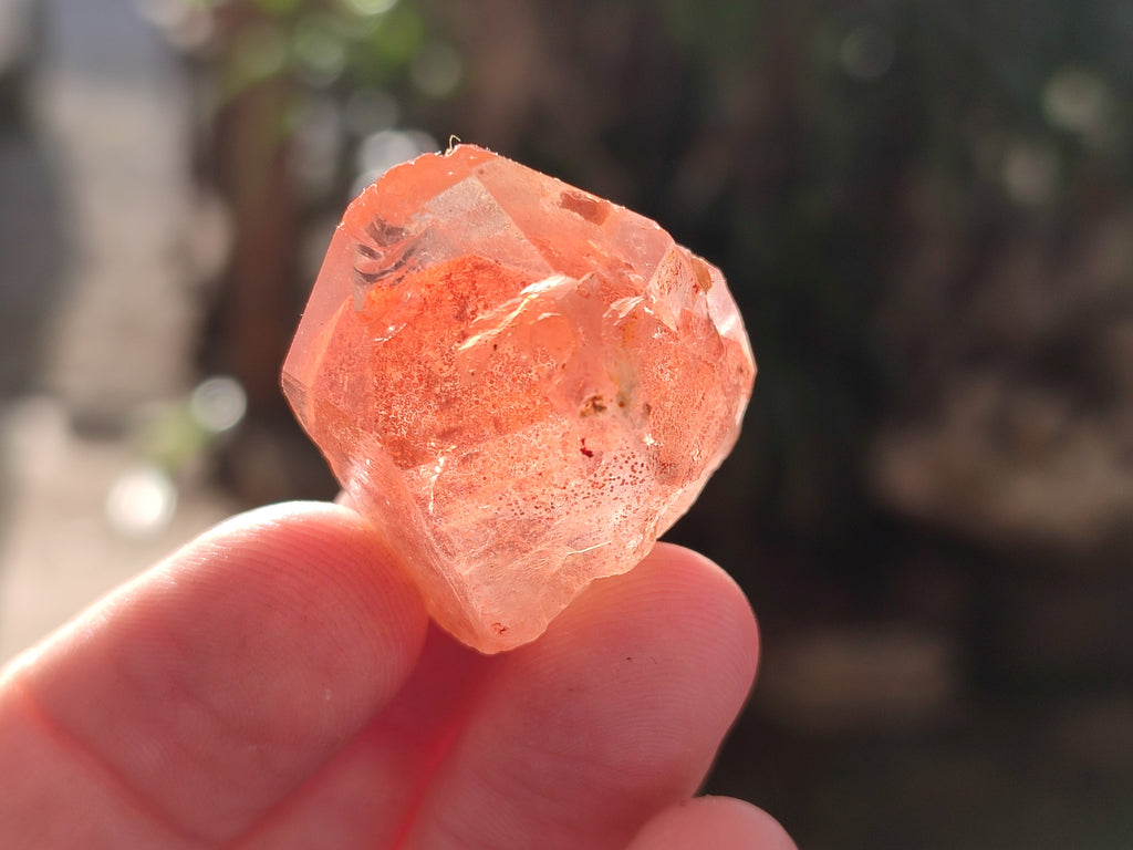 Natural Mixed Single Crystals x 2.06 Kg Lot From Southern Africa - Toprock Gemstones and Minerals 