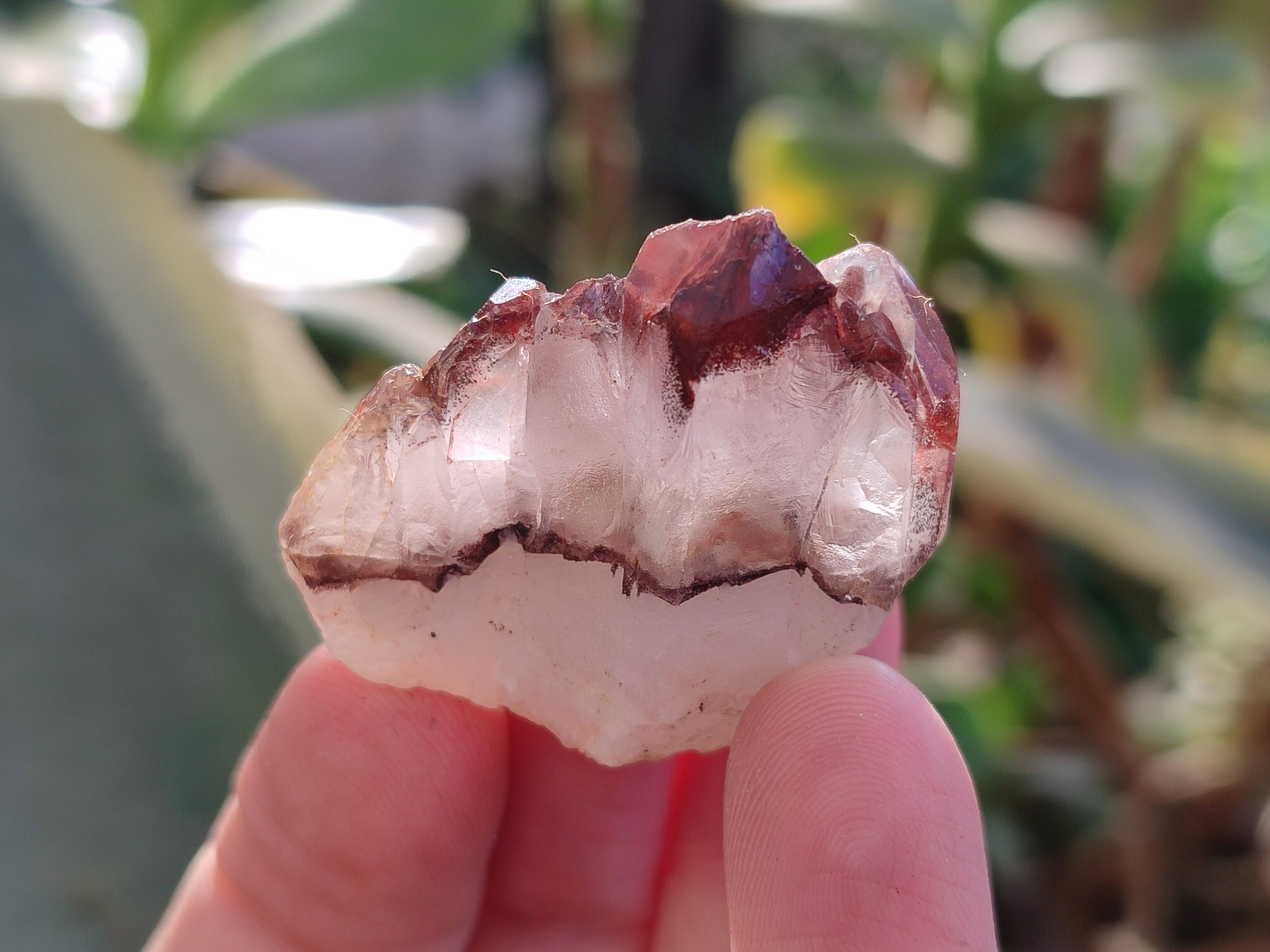 Natural Mixed Single Crystals x 2.06 Kg Lot From Southern Africa - Toprock Gemstones and Minerals 