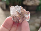 Natural Mixed Single Crystals x 2.06 Kg Lot From Southern Africa - Toprock Gemstones and Minerals 