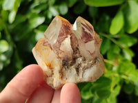 Natural Mixed Single Crystals x 2.06 Kg Lot From Southern Africa - Toprock Gemstones and Minerals 