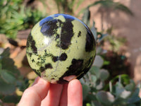 Polished Leopard Stone Spheres x 2 From Nyanga, Zimbabwe