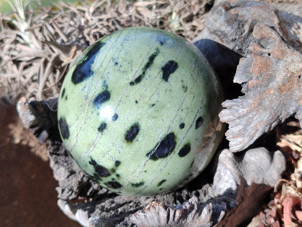 Polished Leopard Stone Spheres x 2 From Nyanga, Zimbabwe