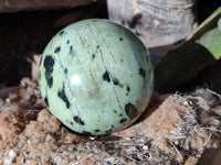Polished Leopard Stone Spheres x 2 From Nyanga, Zimbabwe