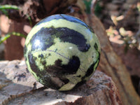Polished Leopard Stone Spheres x 2 From Nyanga, Zimbabwe