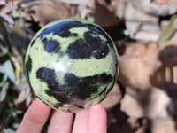 Polished Leopard Stone Spheres x 2 From Nyanga, Zimbabwe