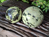 Polished Leopard Stone Spheres x 2 From Nyanga, Zimbabwe