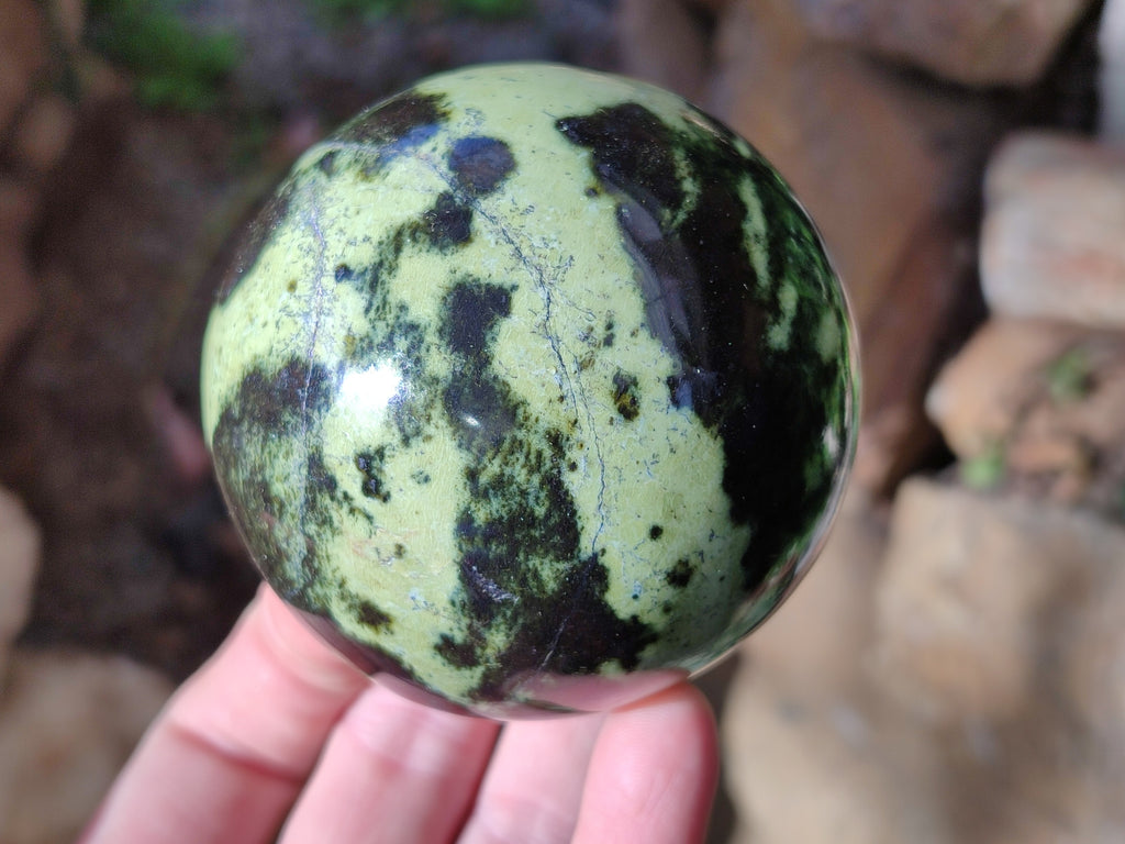 Polished Leopard Stone Spheres x 2 From Nyanga, Zimbabwe - Toprock Gemstones and Minerals 