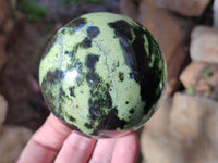 Polished Leopard Stone Spheres x 2 From Nyanga, Zimbabwe