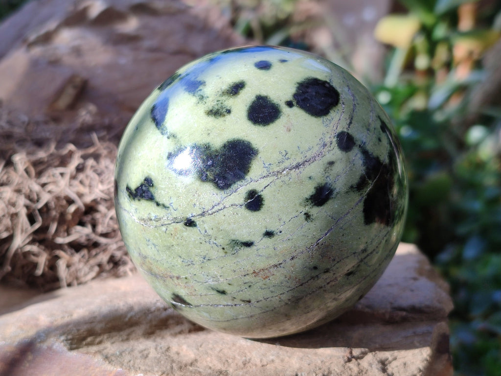 Polished Leopard Stone Spheres x 2 From Nyanga, Zimbabwe - Toprock Gemstones and Minerals 