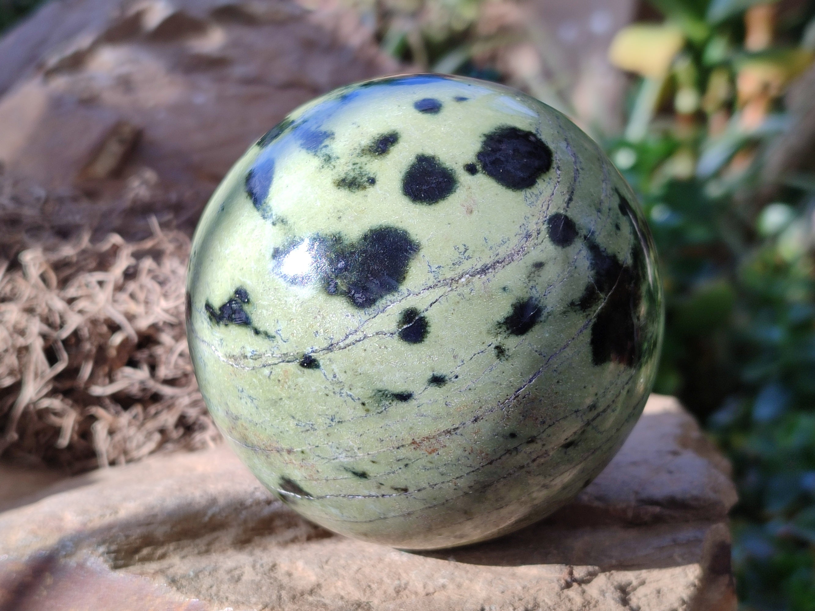 Polished Leopard Stone Spheres x 2 From Nyanga, Zimbabwe - Toprock Gemstones and Minerals 
