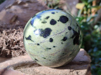 Polished Leopard Stone Spheres x 2 From Nyanga, Zimbabwe