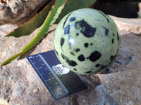 Polished Leopard Stone Spheres x 2 From Nyanga, Zimbabwe