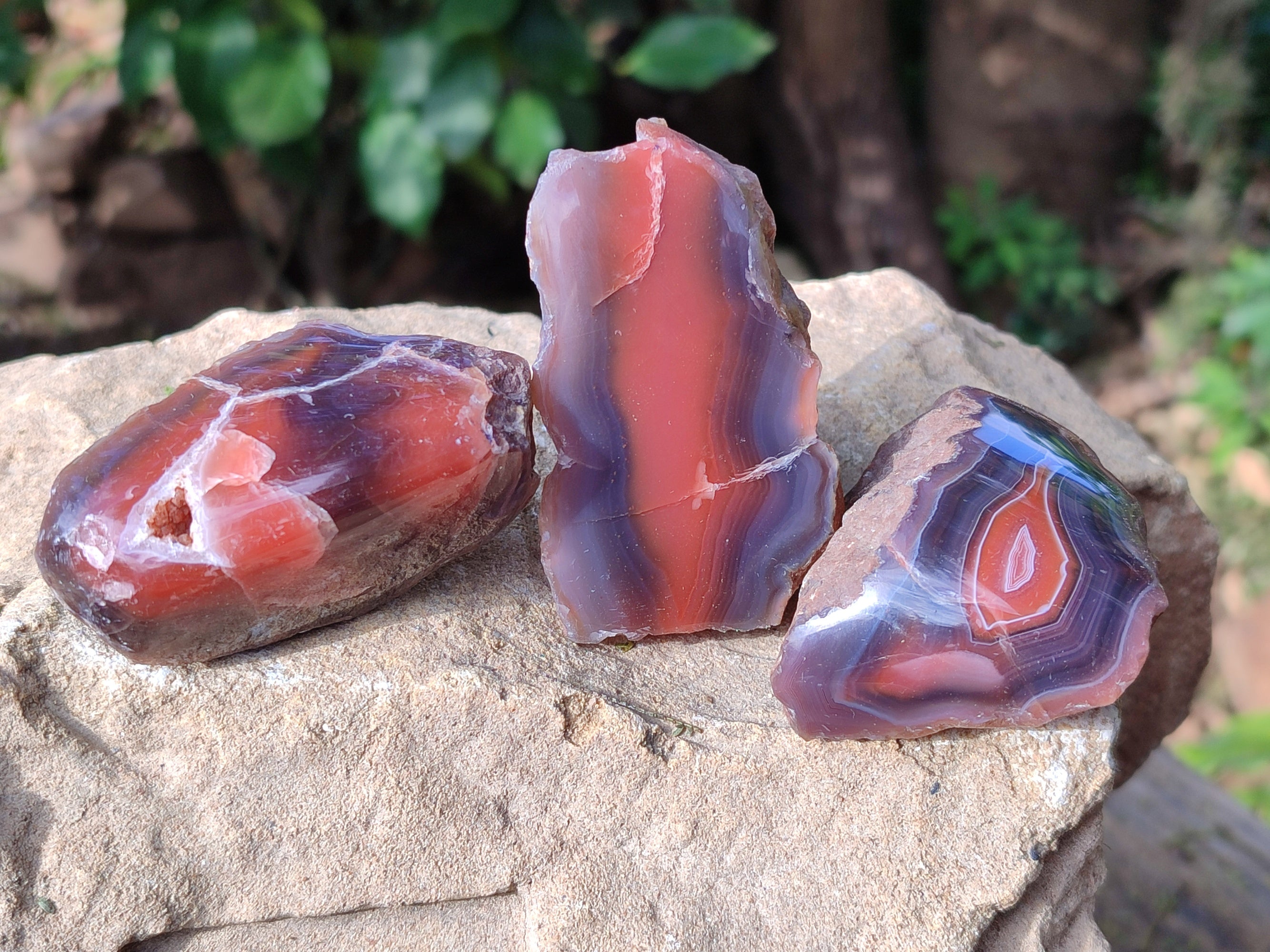 Polished On One Side Red Sashe River Agate Nodules x 24 From Zimbabwe - Toprock Gemstones and Minerals 