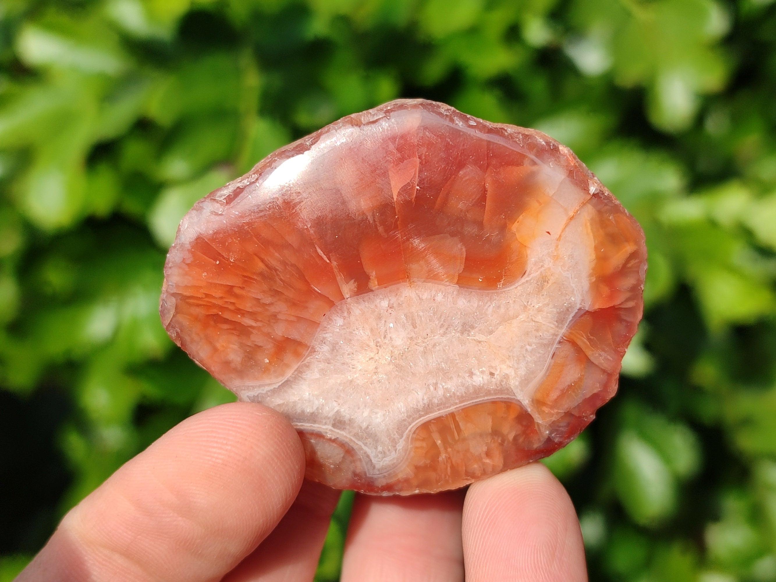 Polished On One Side Red Sashe River Agate Nodules x 24 From Zimbabwe - Toprock Gemstones and Minerals 