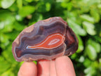 Polished On One Side Red Sashe River Agate Nodules x 24 From Zimbabwe - Toprock Gemstones and Minerals 