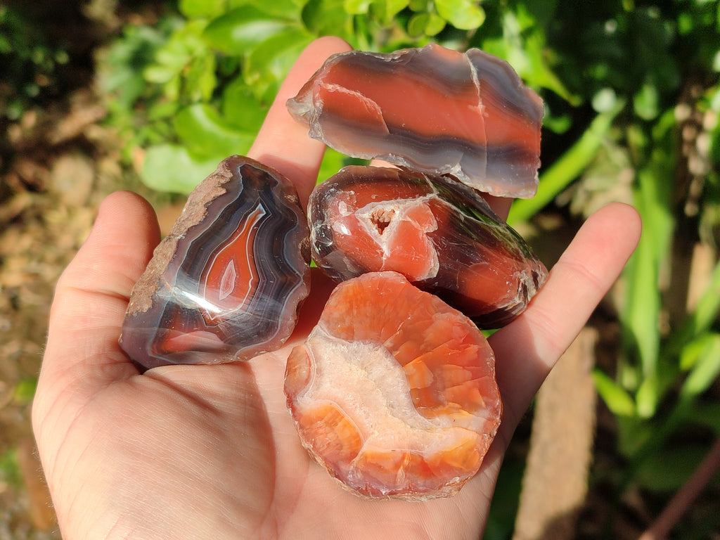 Polished On One Side Red Sashe River Agate Nodules x 24 From Zimbabwe - Toprock Gemstones and Minerals 