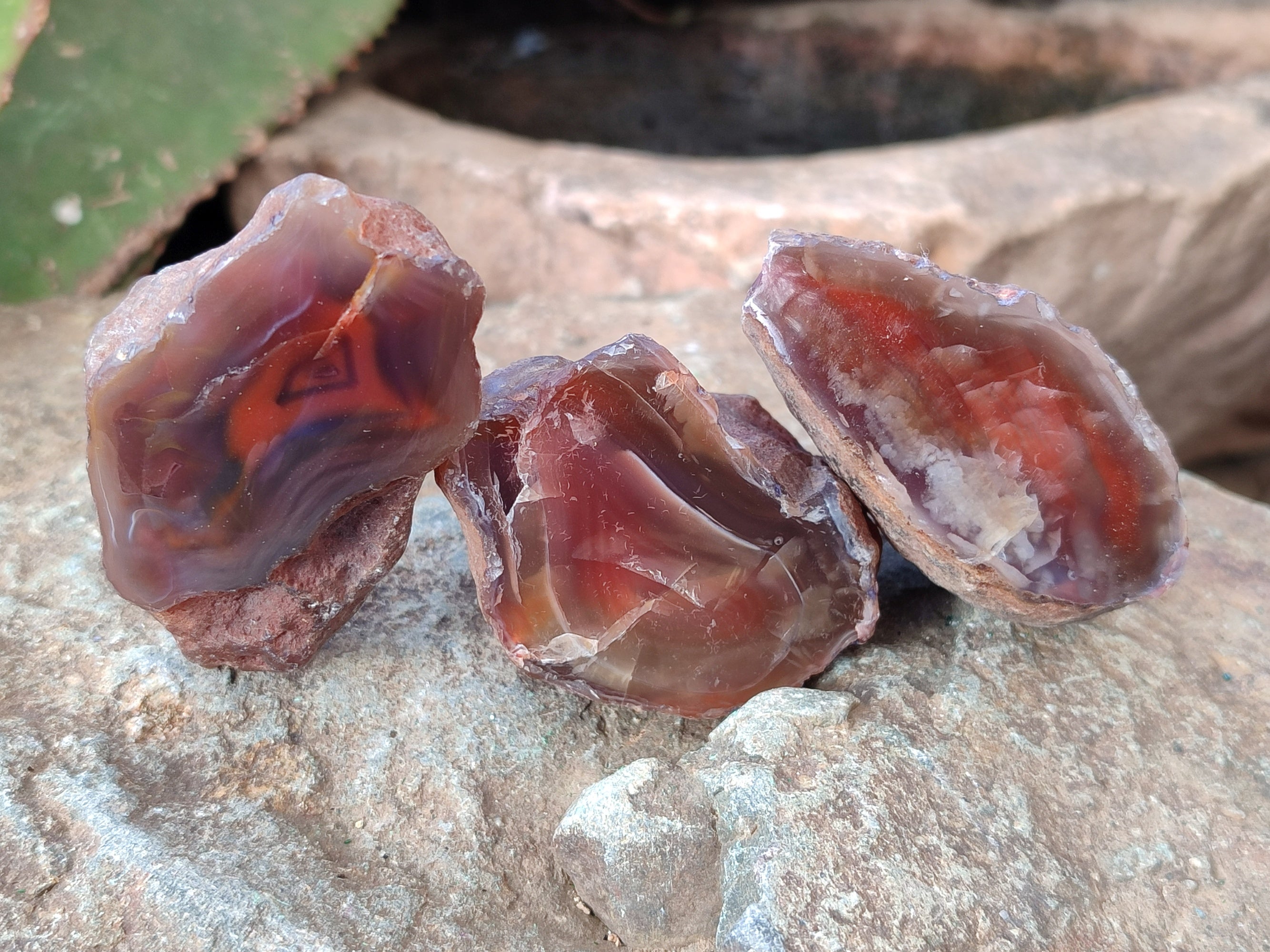 Polished On One Side Red Sashe River Agate Nodules x 24 From Zimbabwe - Toprock Gemstones and Minerals 