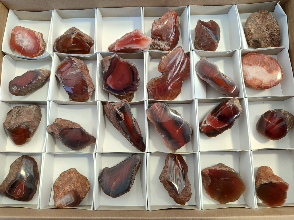 Polished On One Side Red Sashe River Agate Nodules x 24 From Zimbabwe - Toprock Gemstones and Minerals 