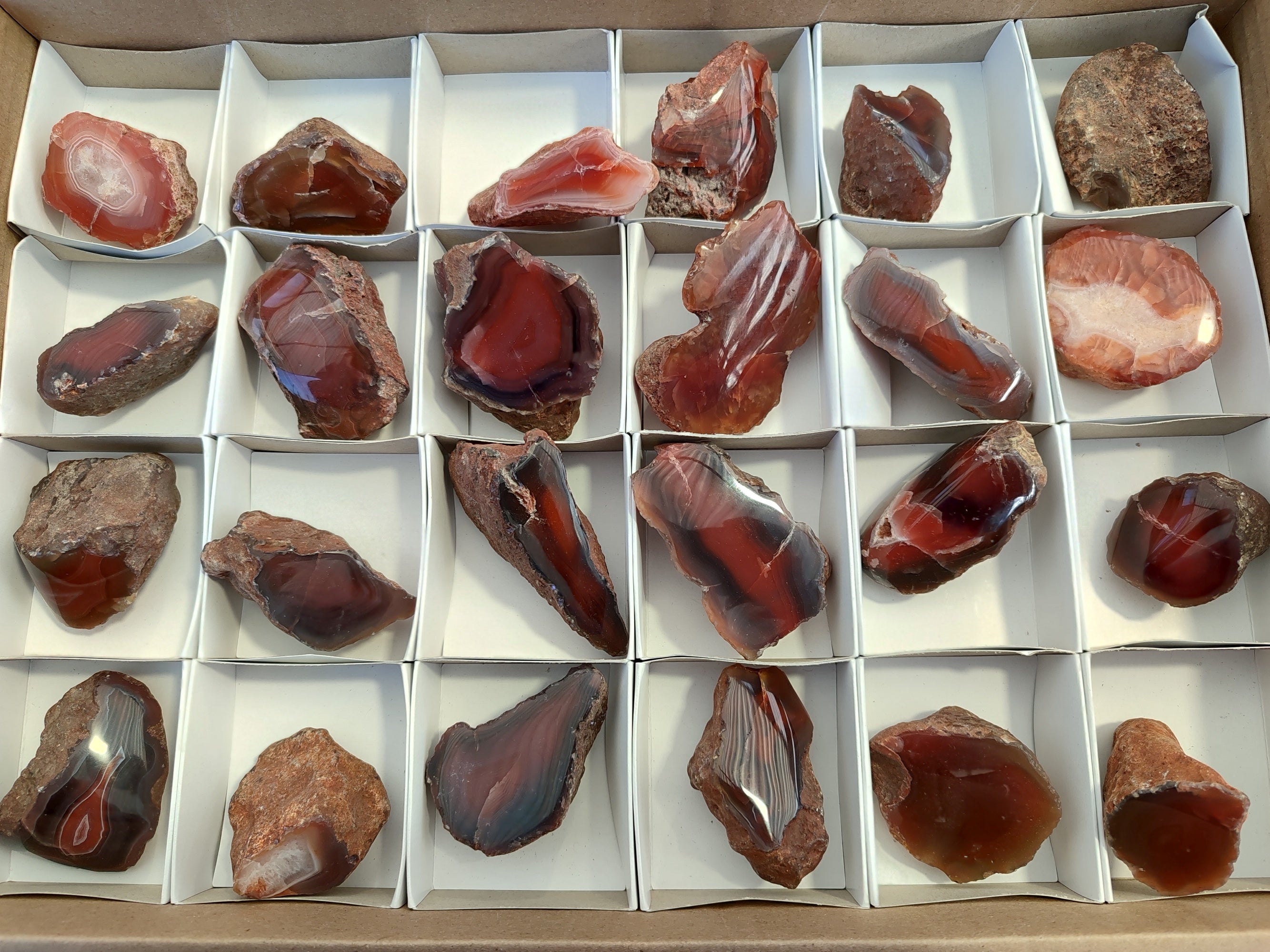 Polished On One Side Red Sashe River Agate Nodules x 24 From Zimbabwe - Toprock Gemstones and Minerals 