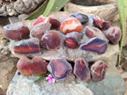 Polished On One Side Red Sashe River Agate Nodules x 24 From Zimbabwe - Toprock Gemstones and Minerals 