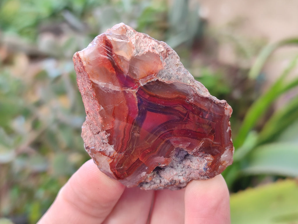 Polished On One Side Red Sashe River Agate Nodules x 24 From Zimbabwe - Toprock Gemstones and Minerals 
